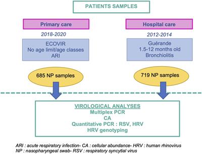 Unravelling the acute respiratory infection landscape: virus type, viral load, health status and coinfection do matter